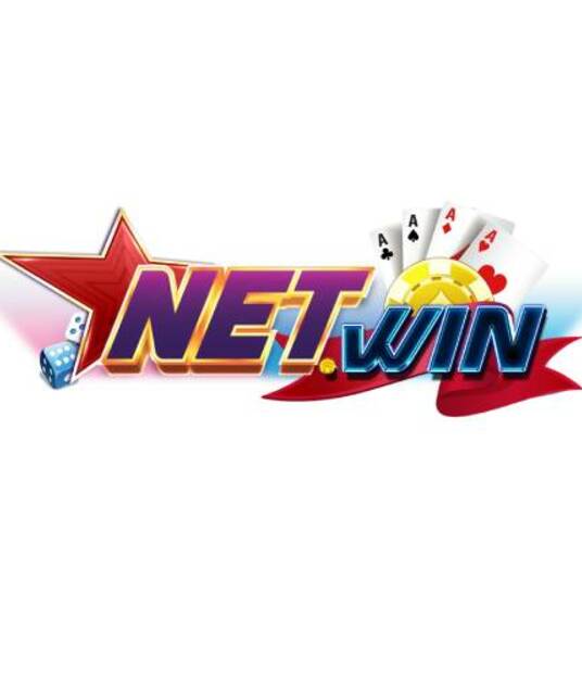 avatar NETWINS VIN