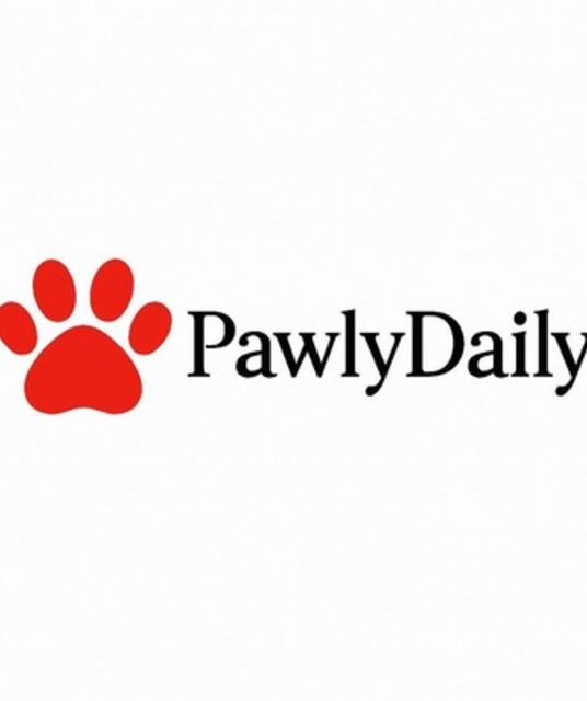 avatar PawlyDaily