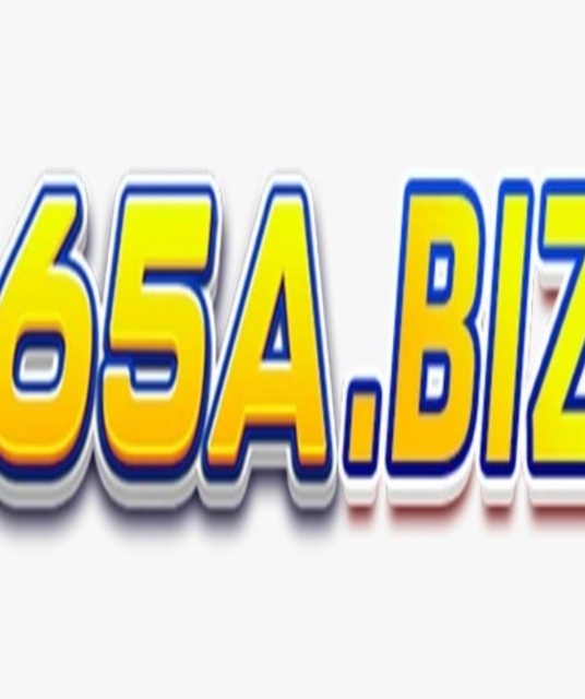 avatar 65A biz
