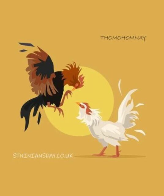 avatar ĐÁ GÀ TRỰC TIẾP