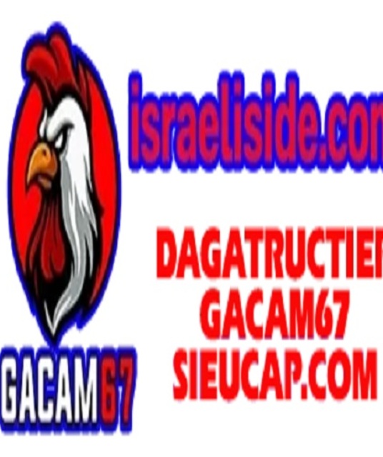 avatar gacam67 promax