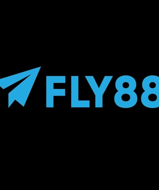 avatar CEO Fly88