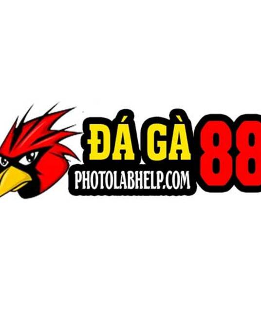 avatar DAGA88 ĐÁ GÀ TRỰC TIẾP THOMO HÔM NAY Full HD